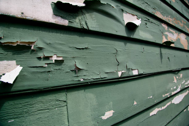 Best Siding Painting and Refinishing  in Rollingwood, CA