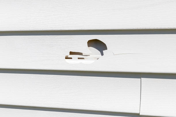 Reliable Rollingwood, CA Siding Installation & Repair Solutions